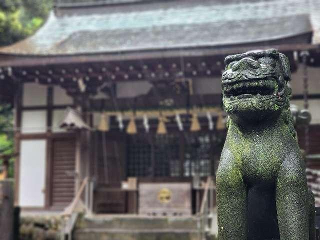三ヶ尻八幡神社の参拝記録(たけちゃ～ん⚾さん)