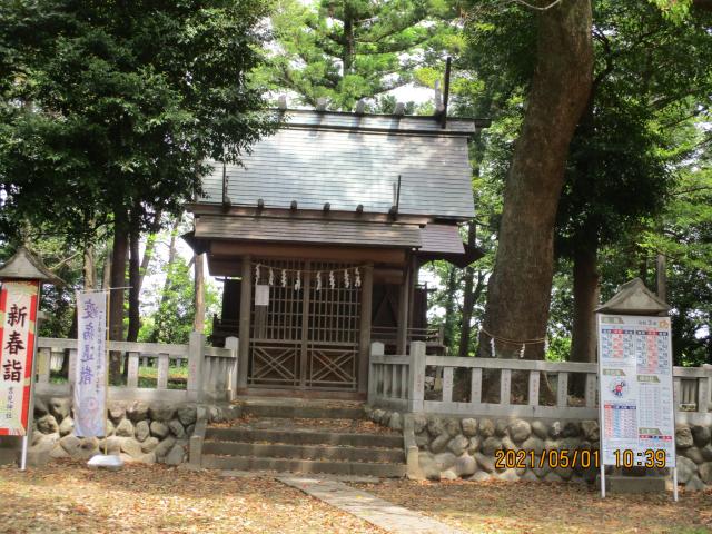 埼玉県熊谷市相上1 吉見神社の写真2