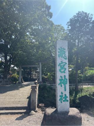瀧宮神社の参拝記録(⛩️🐍🐢まめ🐢🐍⛩️さん)