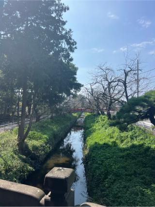 瀧宮神社の参拝記録(⛩️🐍🐢まめ🐢🐍⛩️さん)