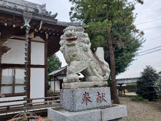 八幡大神社（深谷市針ケ谷）の参拝記録(飛成さん)