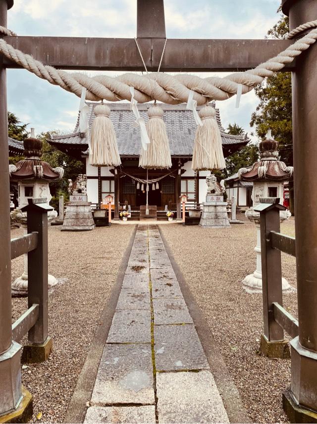 八幡大神社（深谷市針ケ谷）の参拝記録5