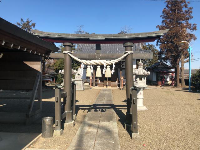 埼玉県深谷市針ケ谷258-1 八幡大神社（深谷市針ケ谷）の写真2