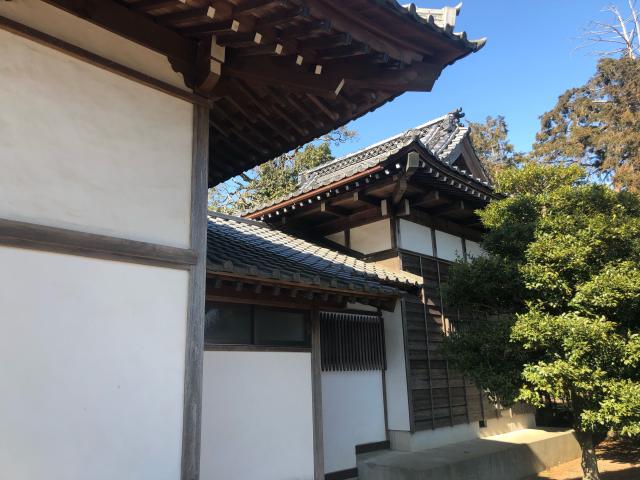 埼玉県深谷市針ケ谷258-1 八幡大神社（深谷市針ケ谷）の写真3