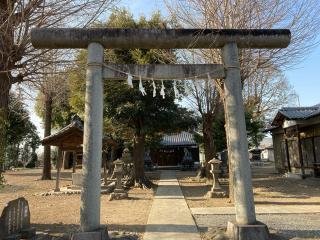 荒川神社の参拝記録(レモンサワーさん)