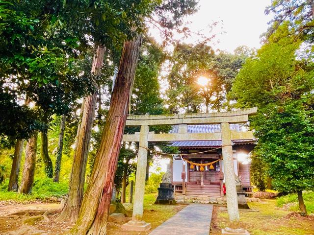 八幡神社（寄居町鉢形）の参拝記録(shikigami_hさん)