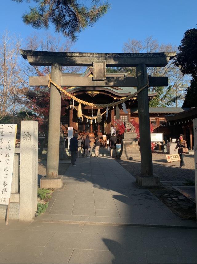 行田八幡神社の参拝記録(しえるさん)