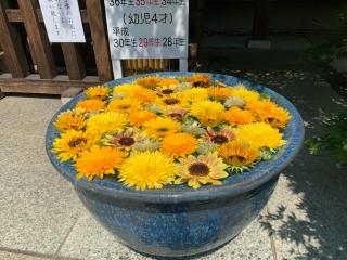 行田八幡神社の参拝記録(keijiさん)