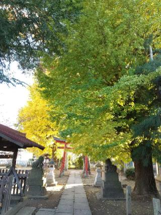 鷲宮神社の参拝記録(zx14rさん)