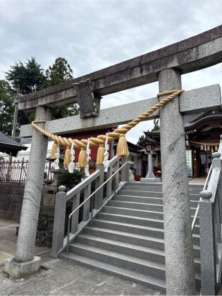 武蔵第六天神社の参拝記録(⛩️🎠🐢まめ🐢🎠⛩️さん)