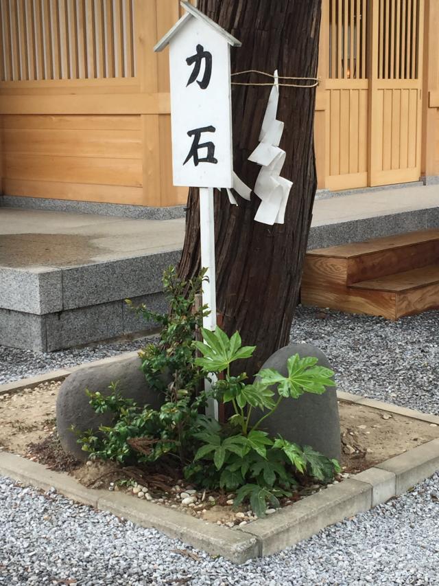 埼玉県さいたま市岩槻区大戸1752 第六天神社（武蔵第六天神社）の写真7