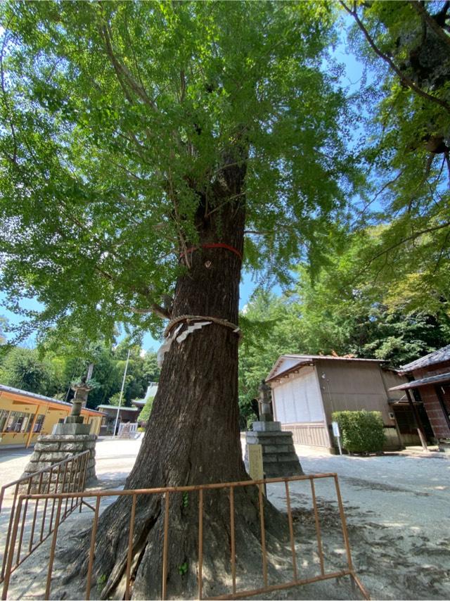 春日部八幡神社の参拝記録7