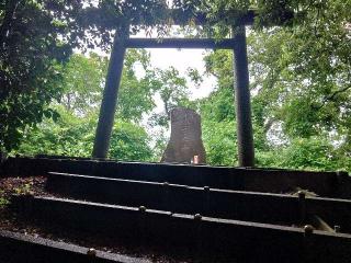 春日部八幡神社の参拝記録(しんのすけさん)