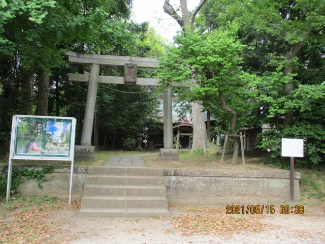 埼玉県久喜市吉羽358 天神社の写真2