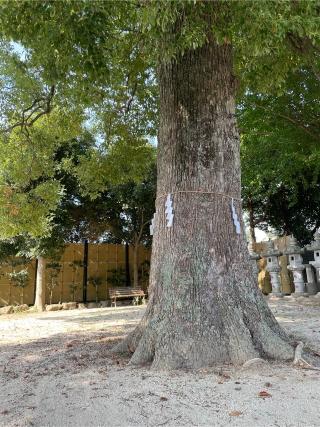 八條八幡神社の参拝記録(ギャズさん)