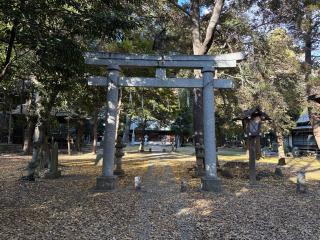 神明神社（菖蒲町上栢間）の参拝記録(レモンサワーさん)