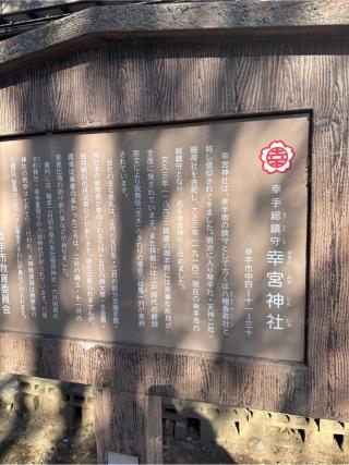 幸宮神社の参拝記録(⛩️🎠🐢まめ🐢🎠⛩️さん)