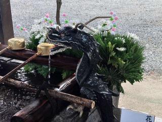 芳川神社の参拝記録(しんのすけさん)