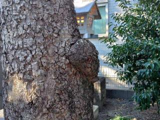 芳川神社の参拝記録(しんのすけさん)