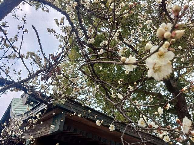 芳川神社の参拝記録3