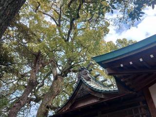 芳川神社の参拝記録(しんのすけさん)