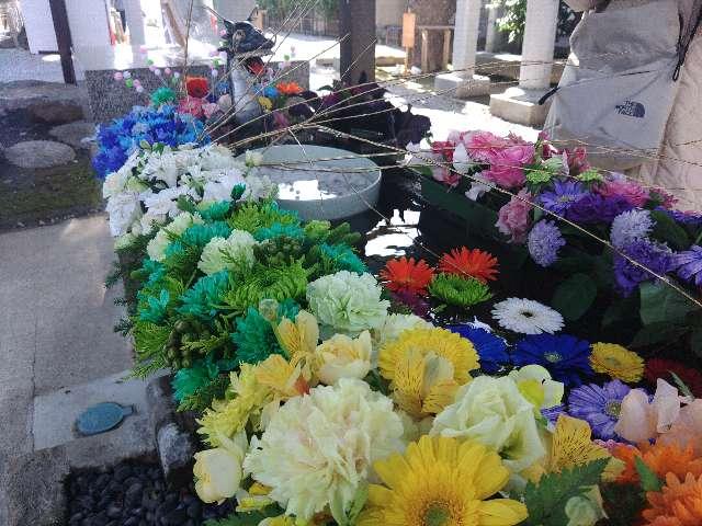 芳川神社の参拝記録6