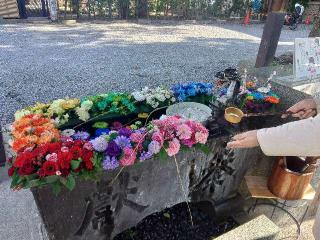 芳川神社の参拝記録(しんのすけさん)