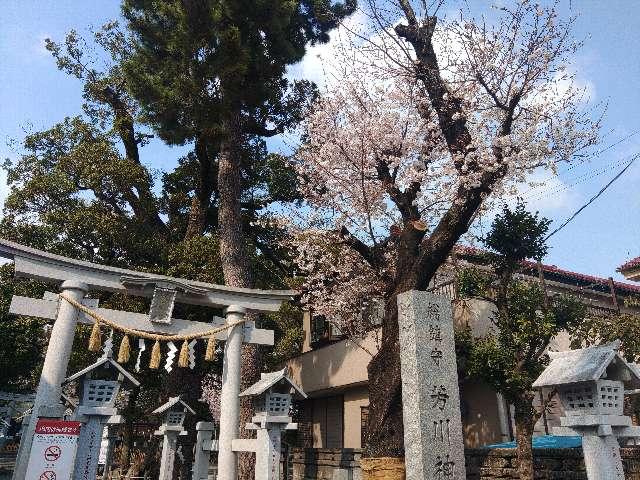 芳川神社の参拝記録3