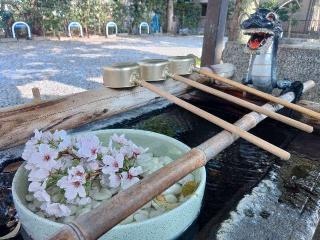 芳川神社の参拝記録(しんのすけさん)