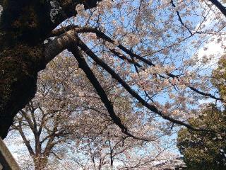 芳川神社の参拝記録(しんのすけさん)