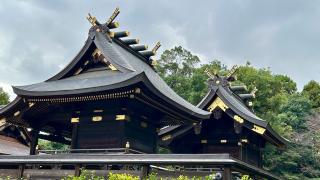 鷲宮神社の参拝記録(金猿さん)