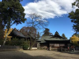 鷲宮神社の参拝記録(ともさん)