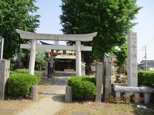 埼玉県久喜市中妻25 千勝神社の写真2
