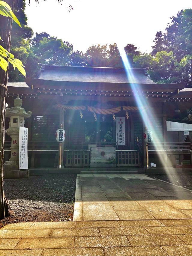 埼玉県所沢市山口1849番地 中氷川神社の写真8