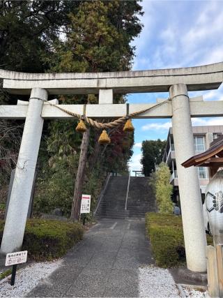 中氷川神社の参拝記録(⛩️🐍🐢まめ🐢🐍⛩️さん)