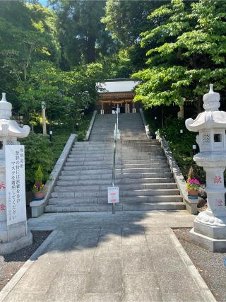 中氷川神社の参拝記録(テルさん)