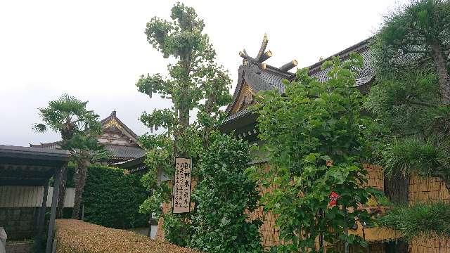 埼玉県富士見市水子1762番地3 水宮神社の写真10
