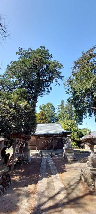 氷川神社の参拝記録(まーぼーさん)