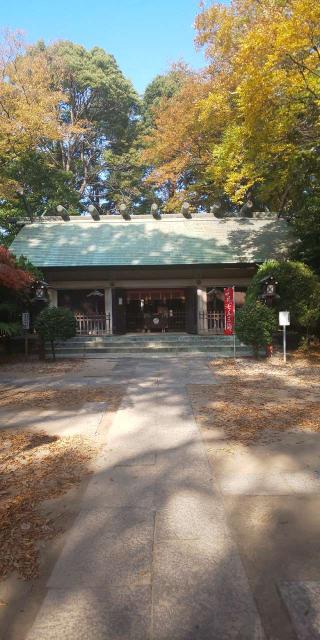 本太氷川神社の参拝記録(ｻｶｲﾀﾞ ﾀﾛｳさん)