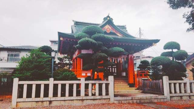 氷川神社の参拝記録(miyumikoさん)