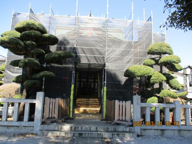 埼玉県さいたま市大宮区上小町1110 氷川神社の写真5
