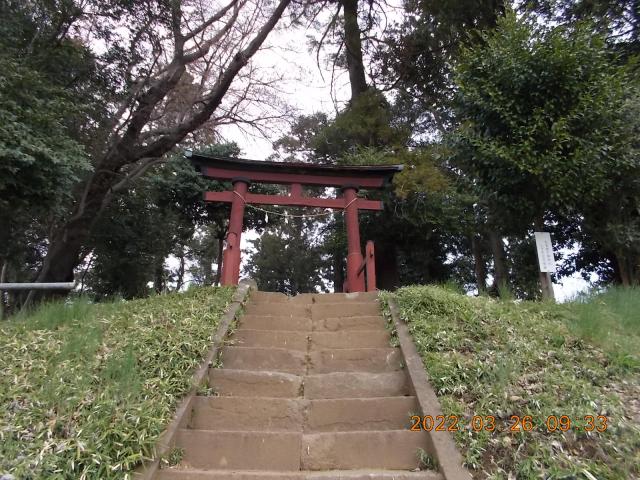 埼玉県さいたま市見沼区新堤109 稲荷神社(新堤)の写真4