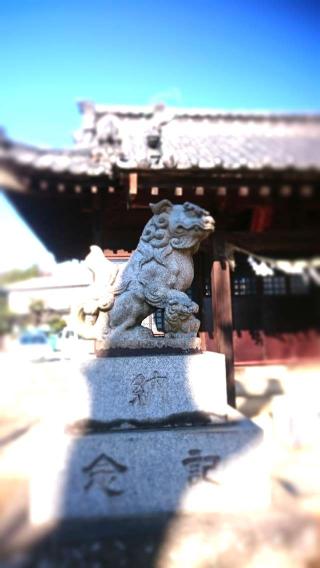 諏訪神社の参拝記録(taka.さん)