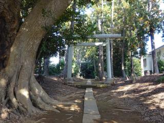 神明神社（見沼区南中丸）の参拝記録(かんたろうさん)