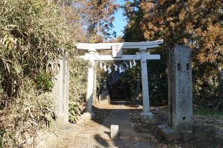 八幡神社(八幡宮)（見沼区南中丸）の参拝記録(thonglor17さん)