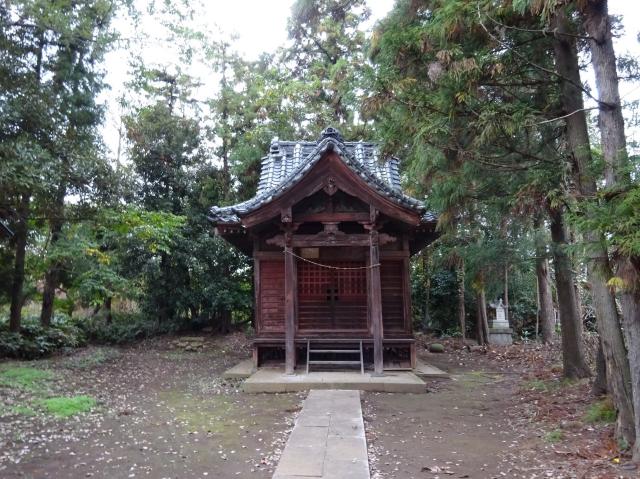 八幡神社(八幡宮)（見沼区南中丸）の写真1