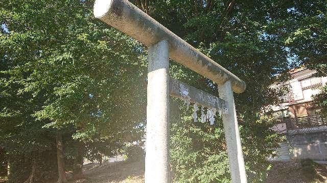 埼玉県さいたま市見沼区上山口新田1 神明神社の写真3