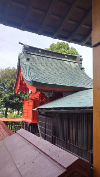 足立神社の参拝記録(ステイさん)