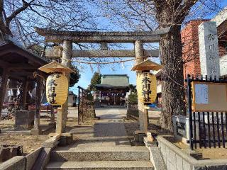 氷川神社の参拝記録(ロビンさん)