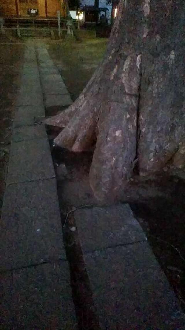 浅間神社の参拝記録10